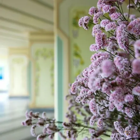 Отель Grand Vesuvio